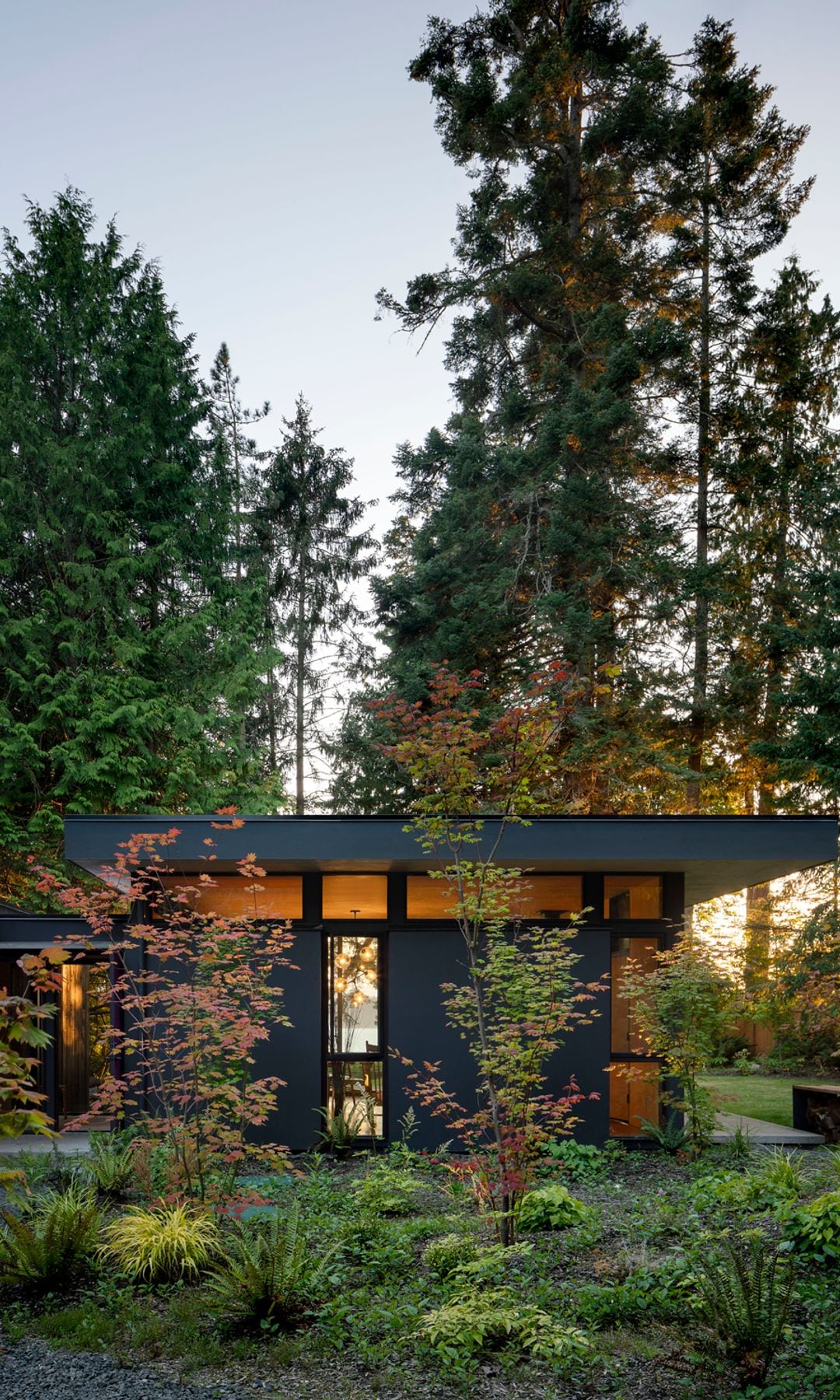 Cabaña moderna en la naturaleza