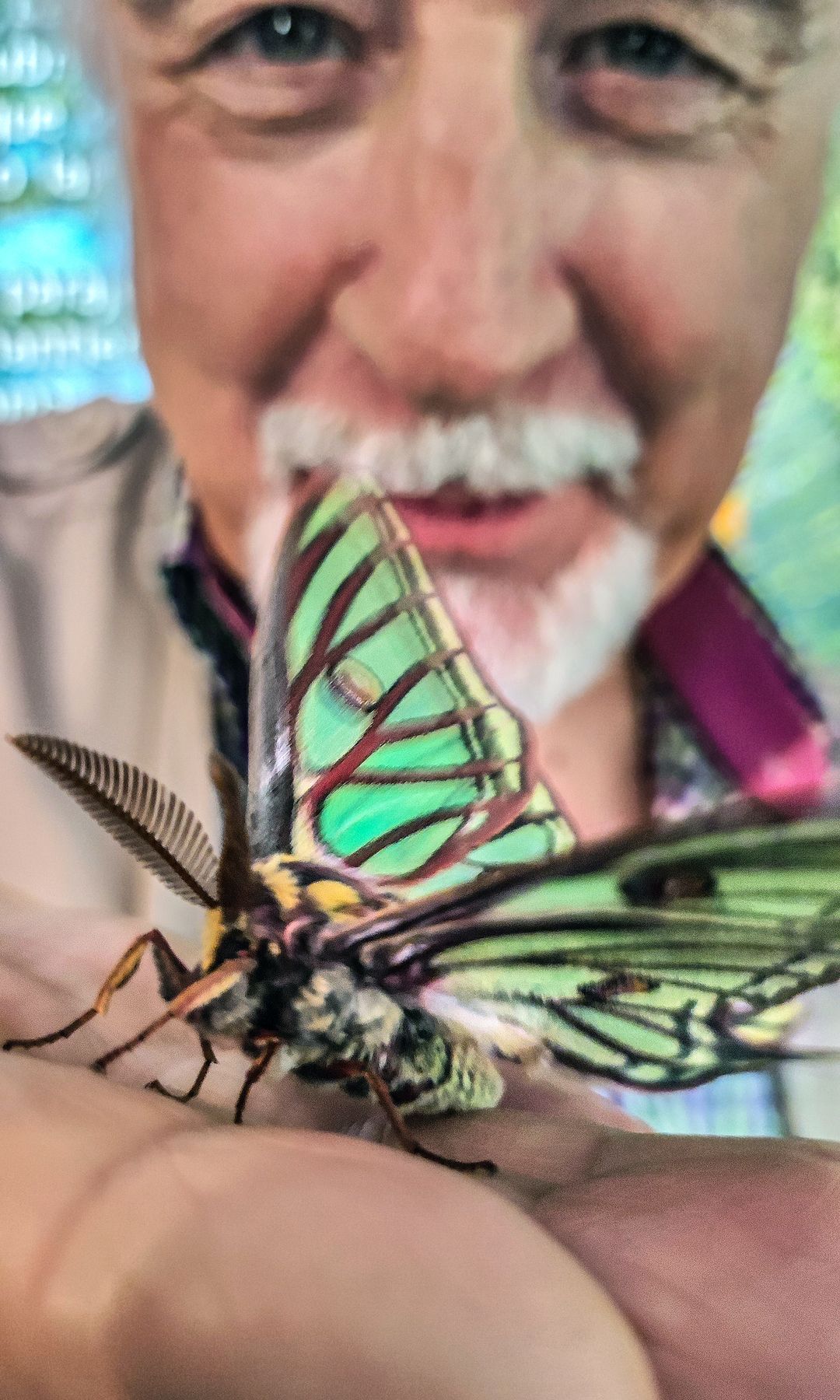 Pedro Velasco, director del Insectpark, con una mariposa, San Lorenzo de El Escorial, Madrid