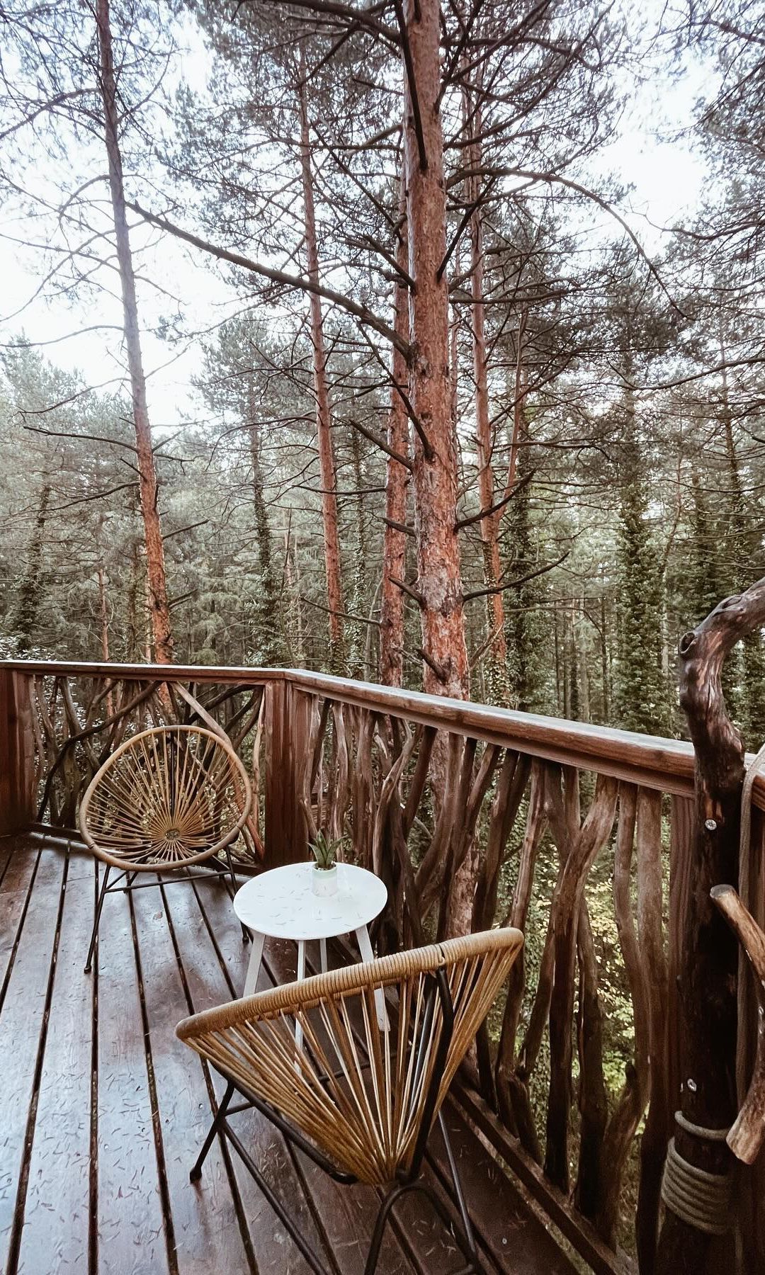 Terraza de Cabanes als arbres, cabaña en los árboles en Cataluña