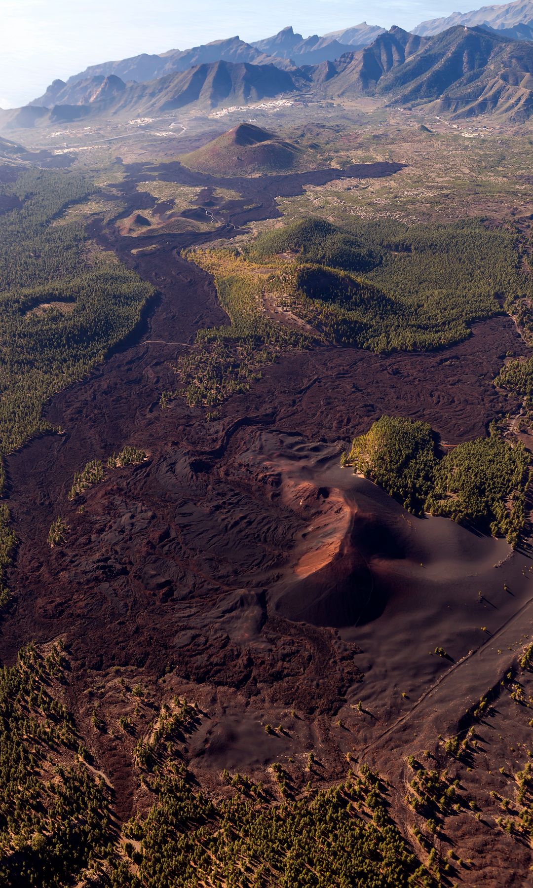 Reserva Natural del Volcán Chinyero en la isla de Tenerife