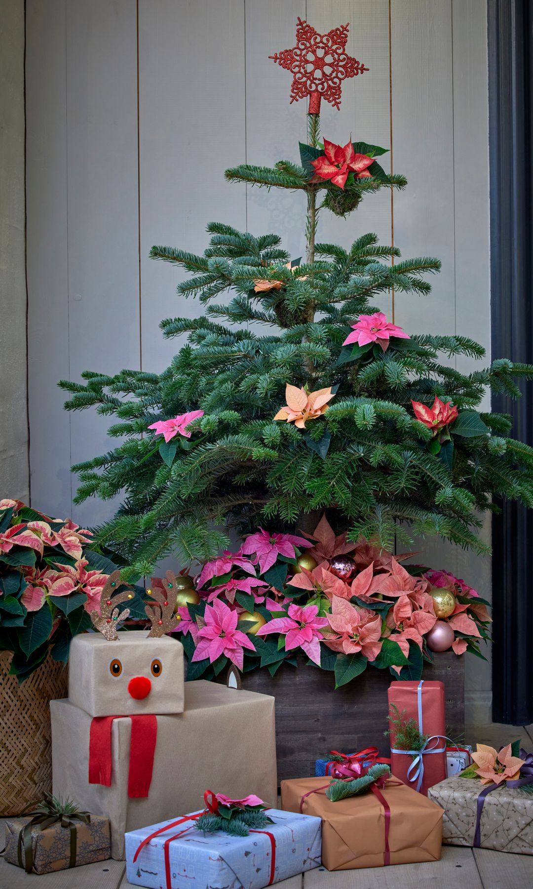 Árbol de Navidad con regalos y poinsettias como adornos 