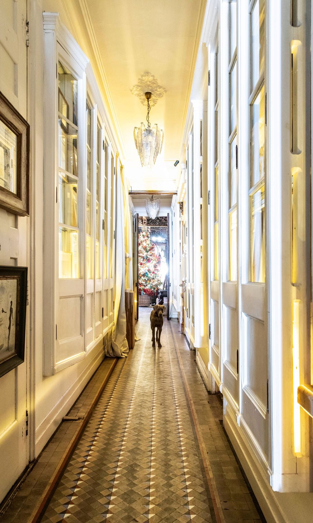 Vista del pasillo, que da la bienvenida como una galería de arte para entretener y deleitar al invitado hasta que llega a las otras habitaciones de la casa