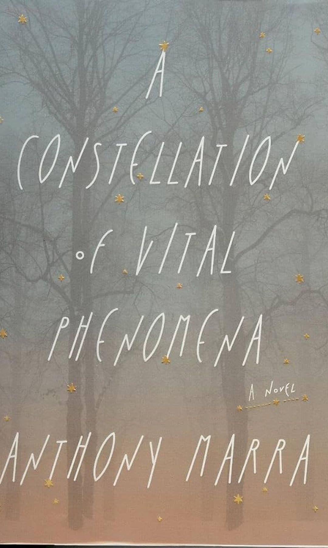 A Constellation of Vital Phenomena 
