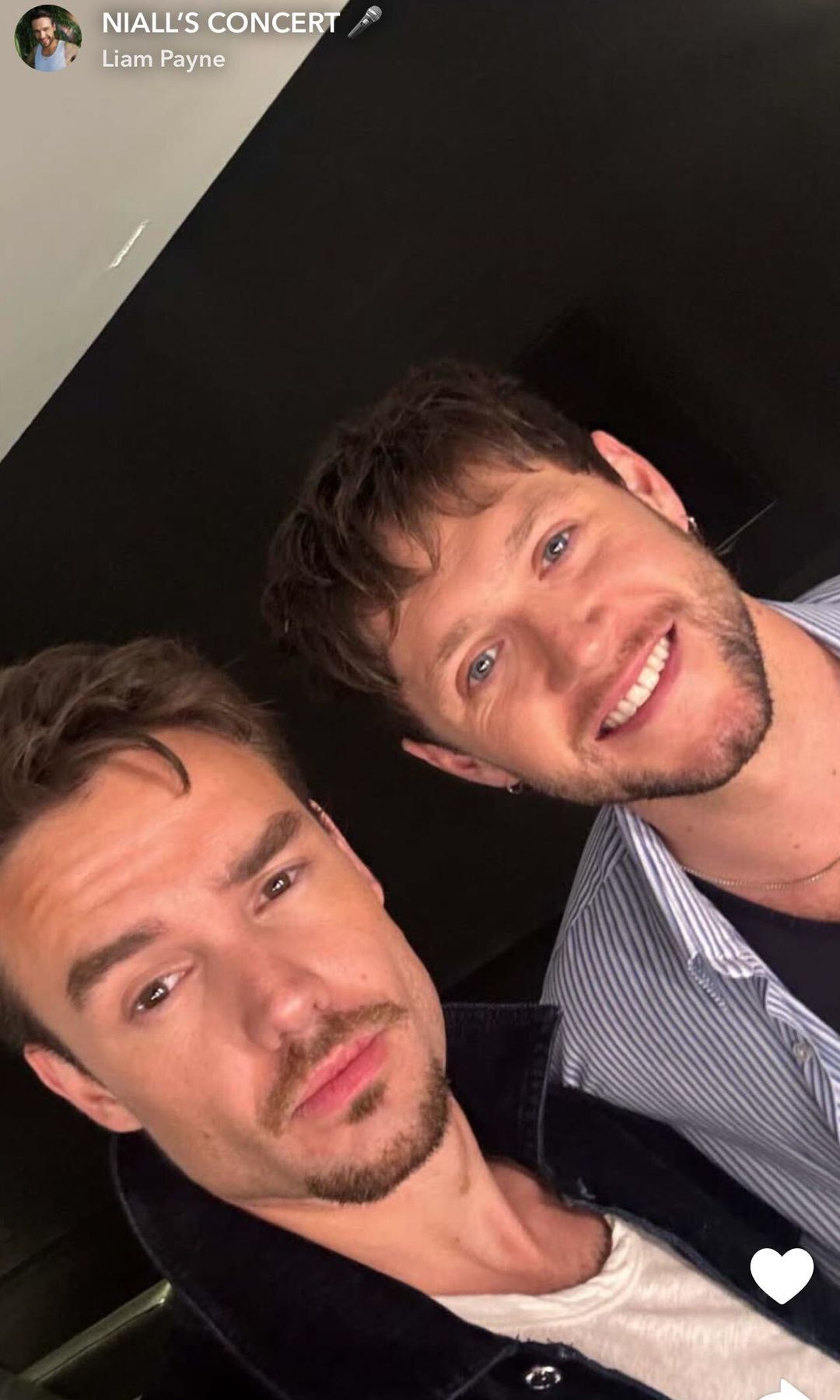 Días antes de su trágico final, Liam Payne se reunió con su excompañero de  One Direction, Niall Horan | ¡HOLA!