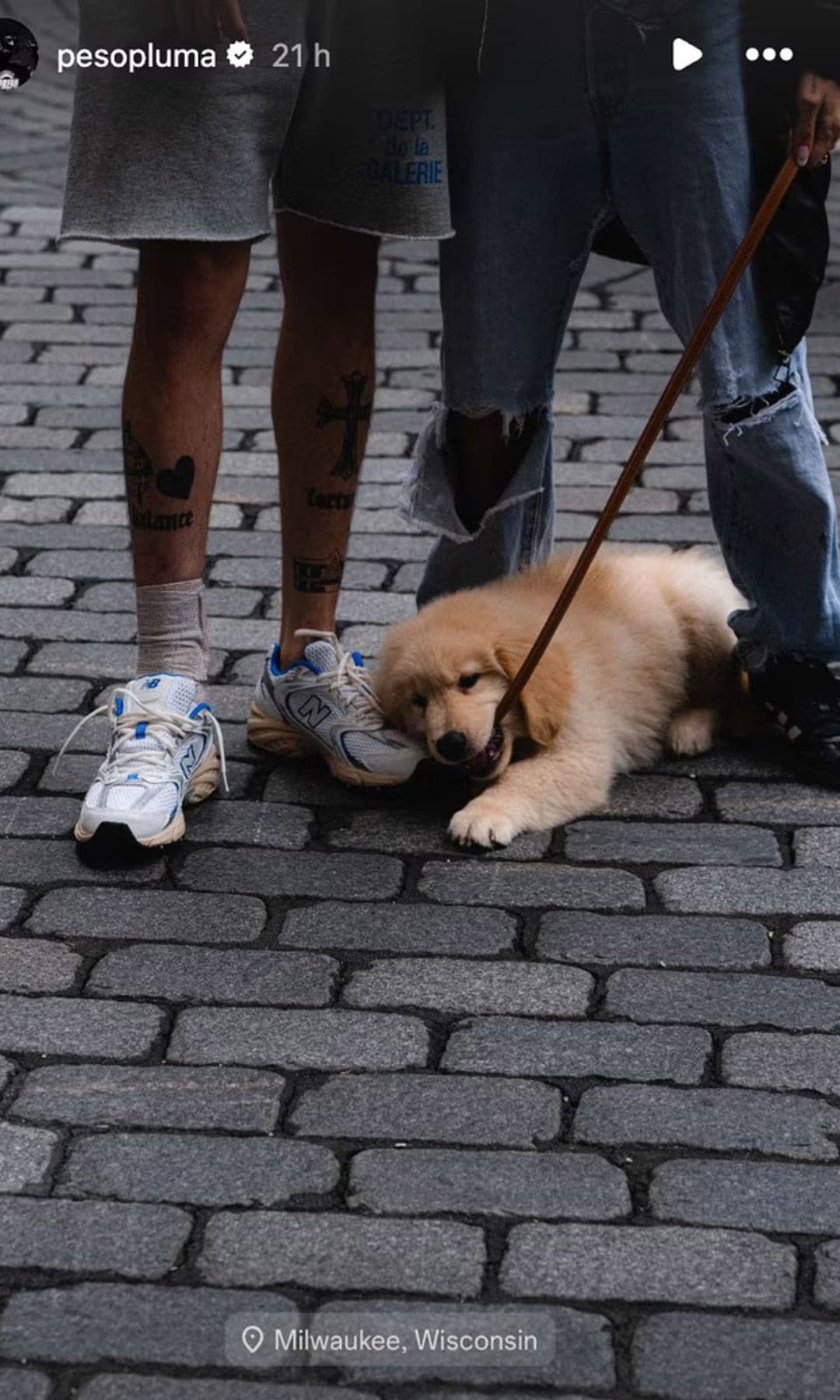 Peso Pluma y Hanna con su perrito