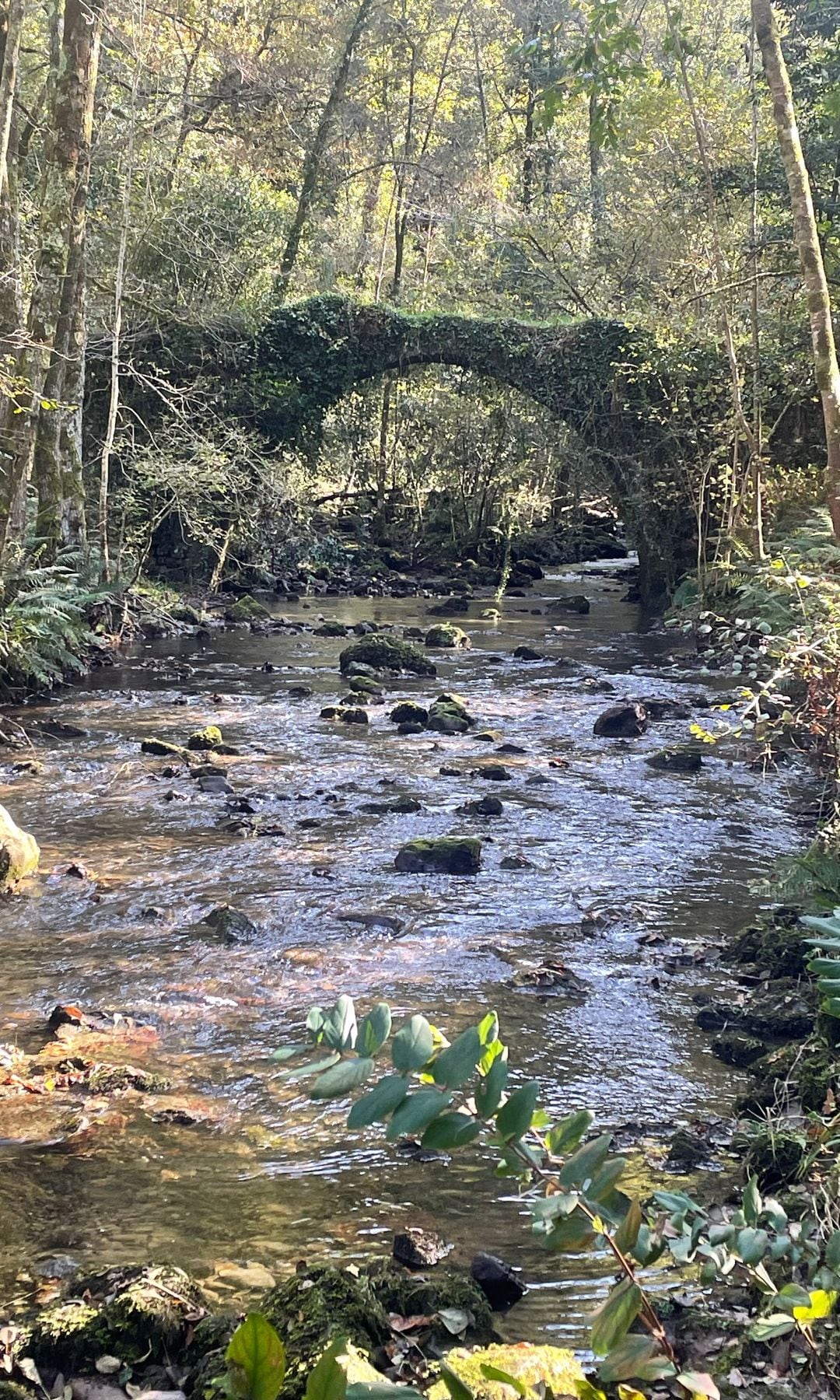 Puente románico, en la ruta de senderismo del Golako, en Arratzu, Vizcaya, País Vasco