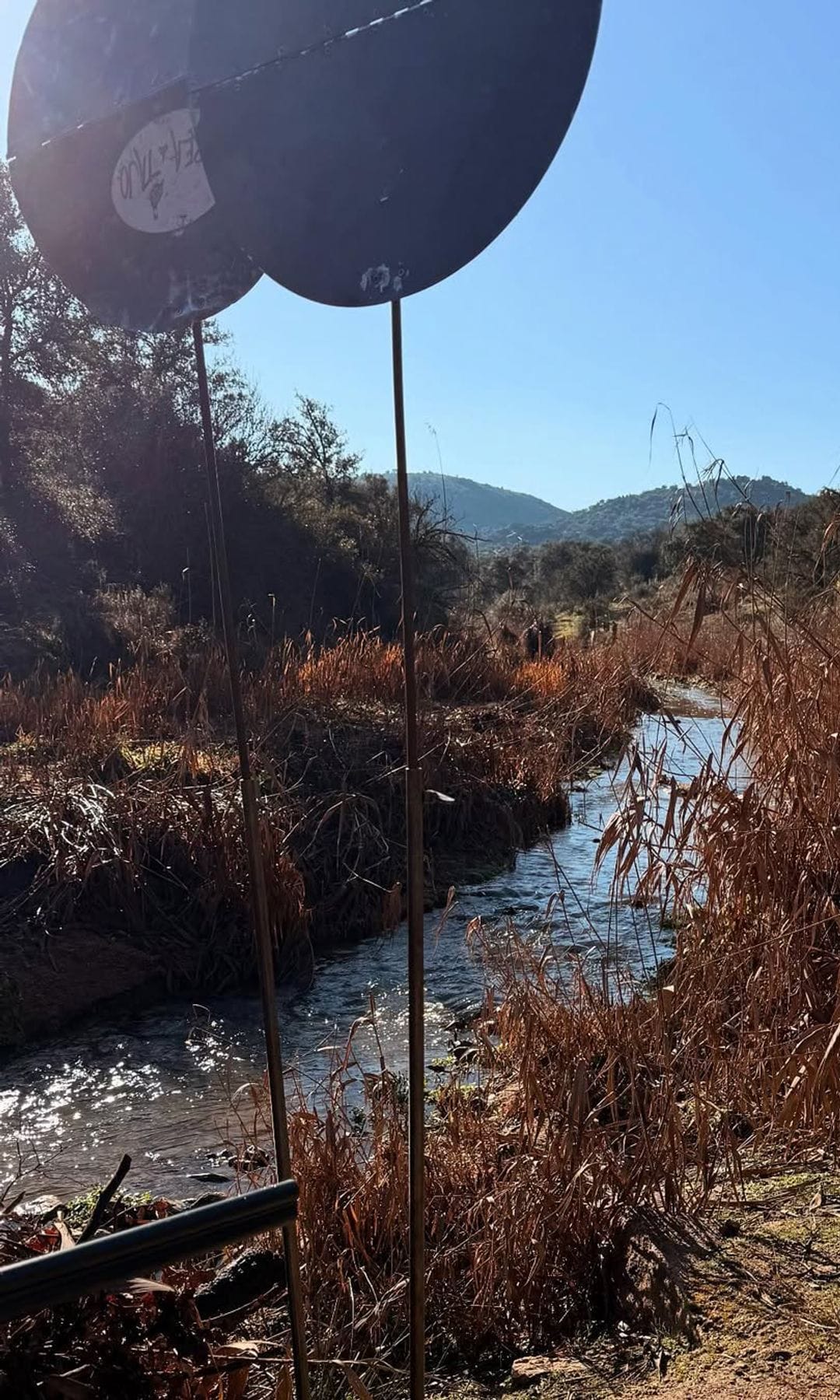 Una foto del sitio donde fue la montería