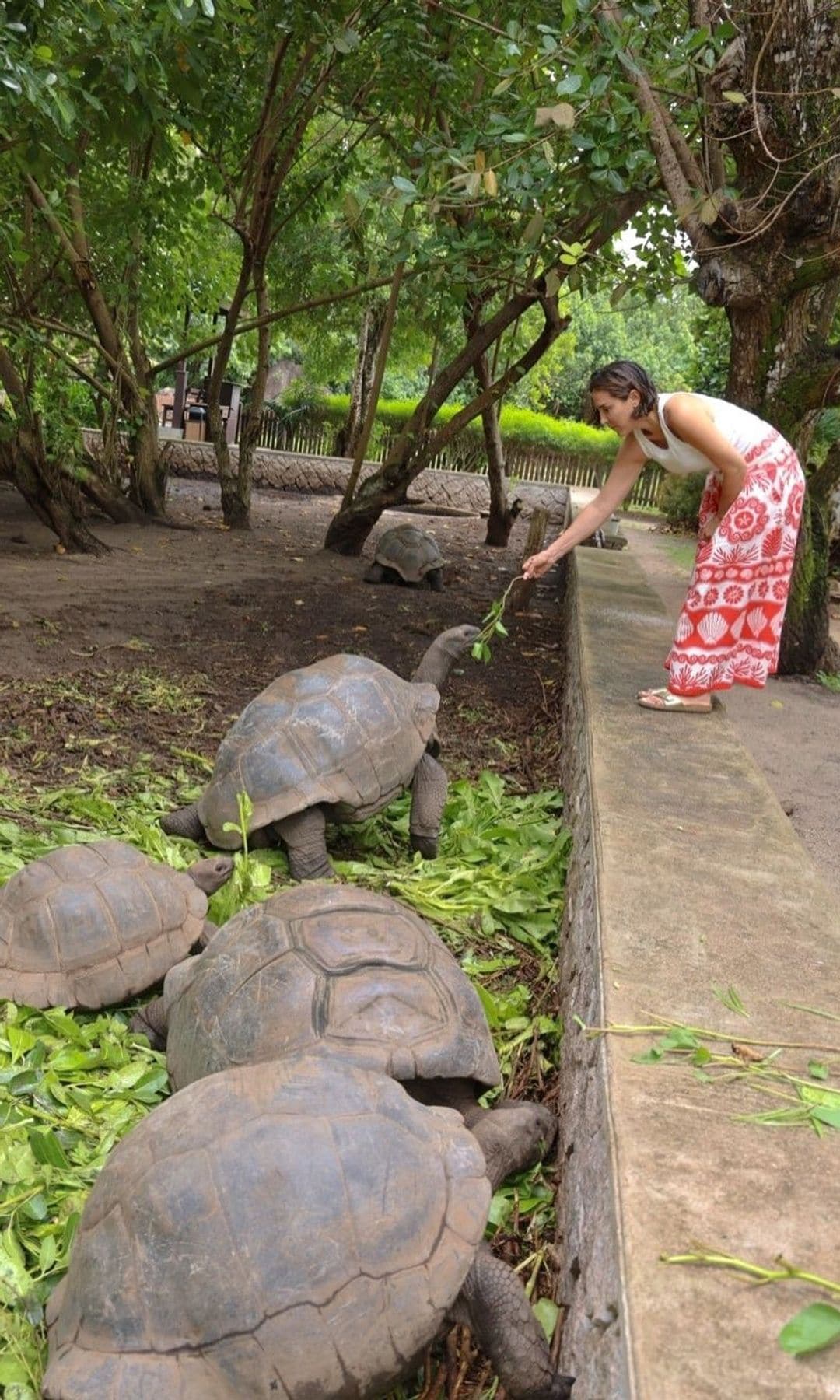 Tamara Falcó en las islas Seychelles junto a las tortugas