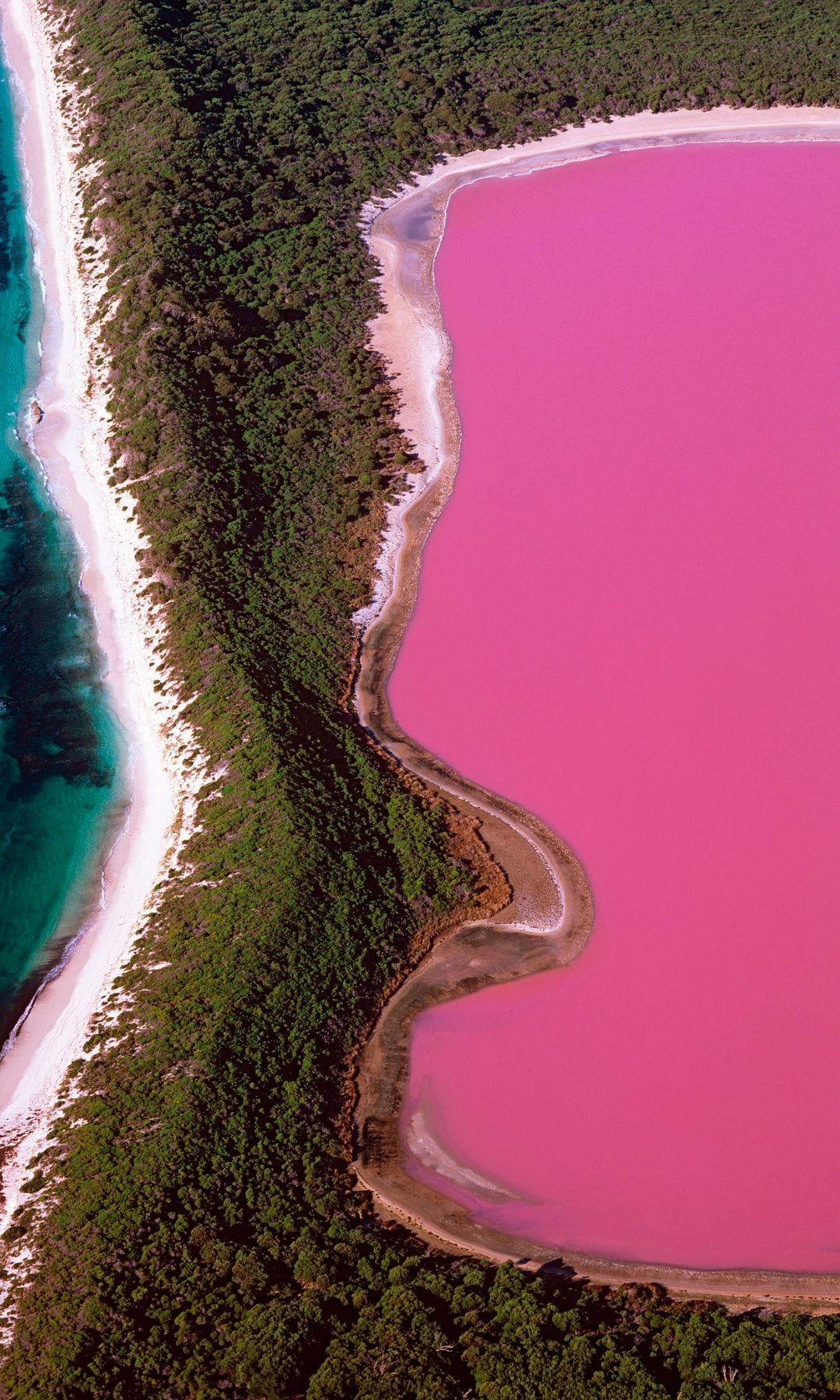 Lago Hillier, con su increíble color rosa, en la isla Middle en Asutralia