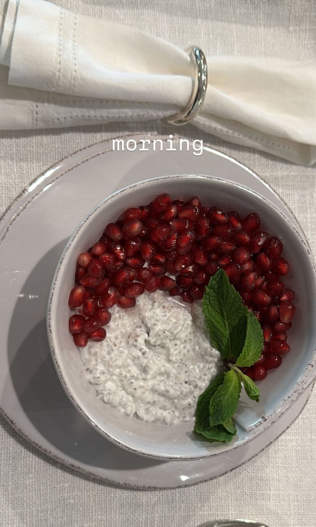 Recientemente Kylie Jenner compartió una foto en sus redes sociales de su desayuno preparado con chía