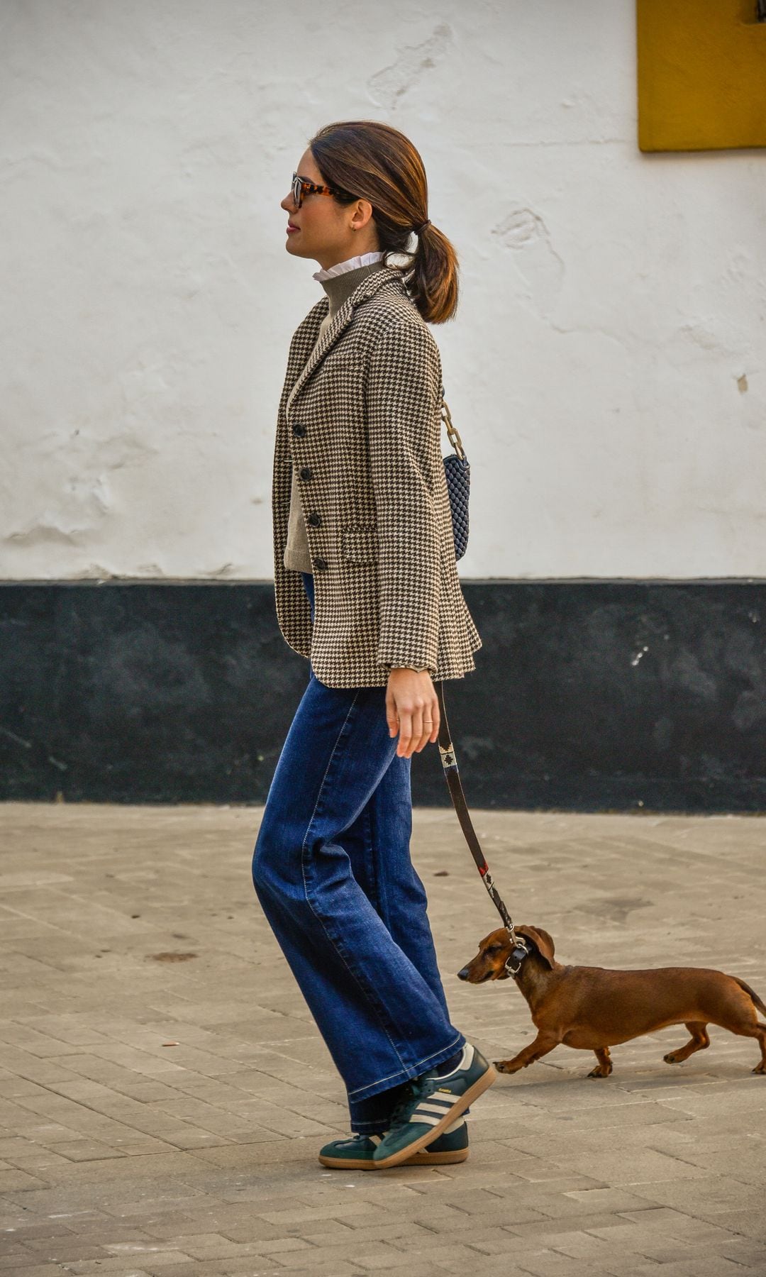 Sofía Palazuelo caminando con su teckel