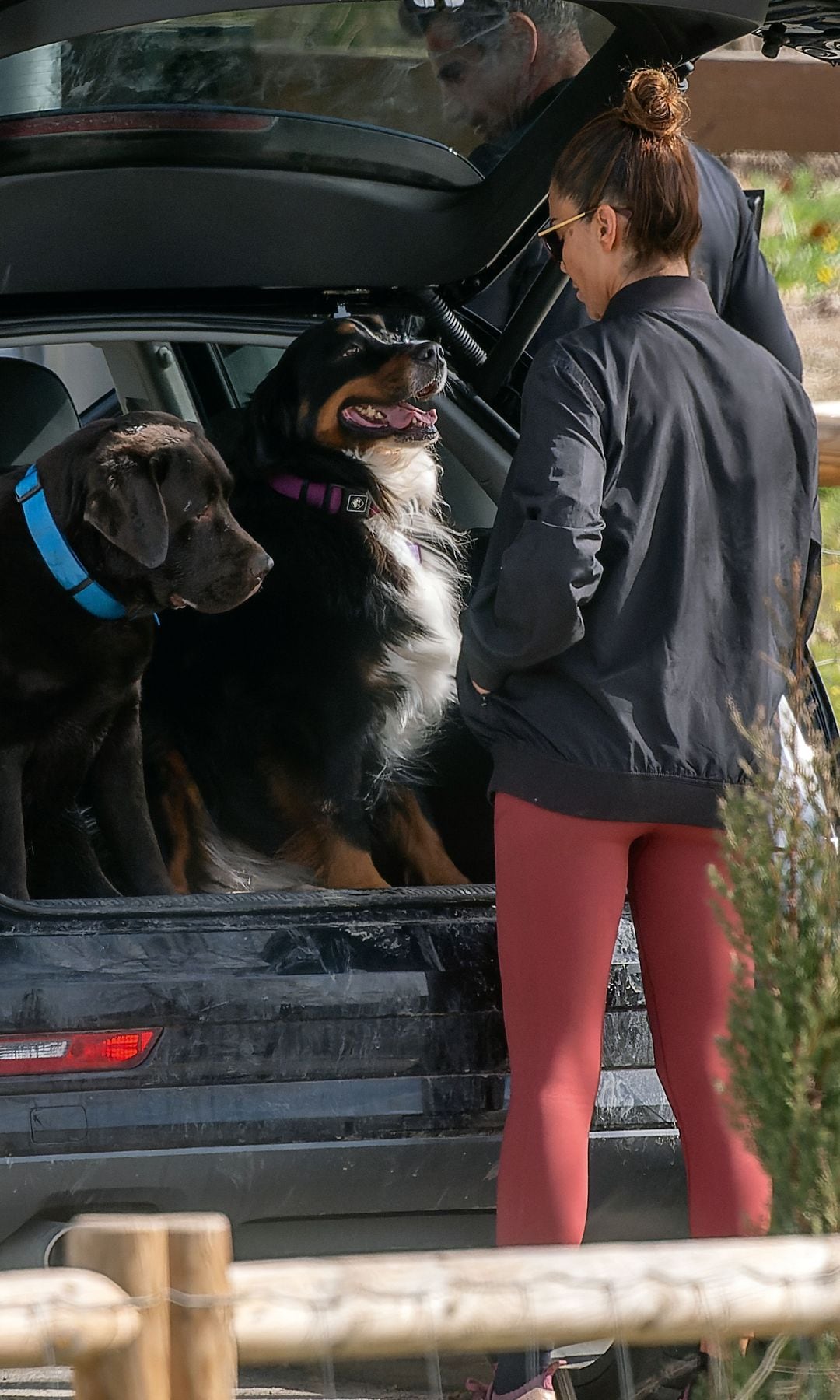 Lara Álvarez, colocando a sus perros en el maletero de su coche