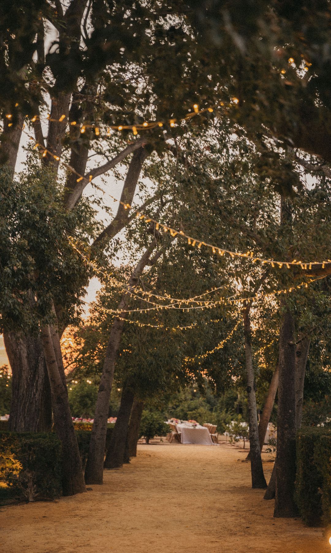 bodas decoración