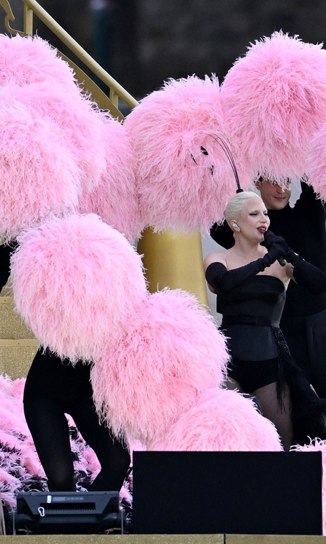 Lady Gaga con vestido de Dior a medida inspirado en el cabaré, con una majestuosa falda de plumas de avestruz en rosa y negro.