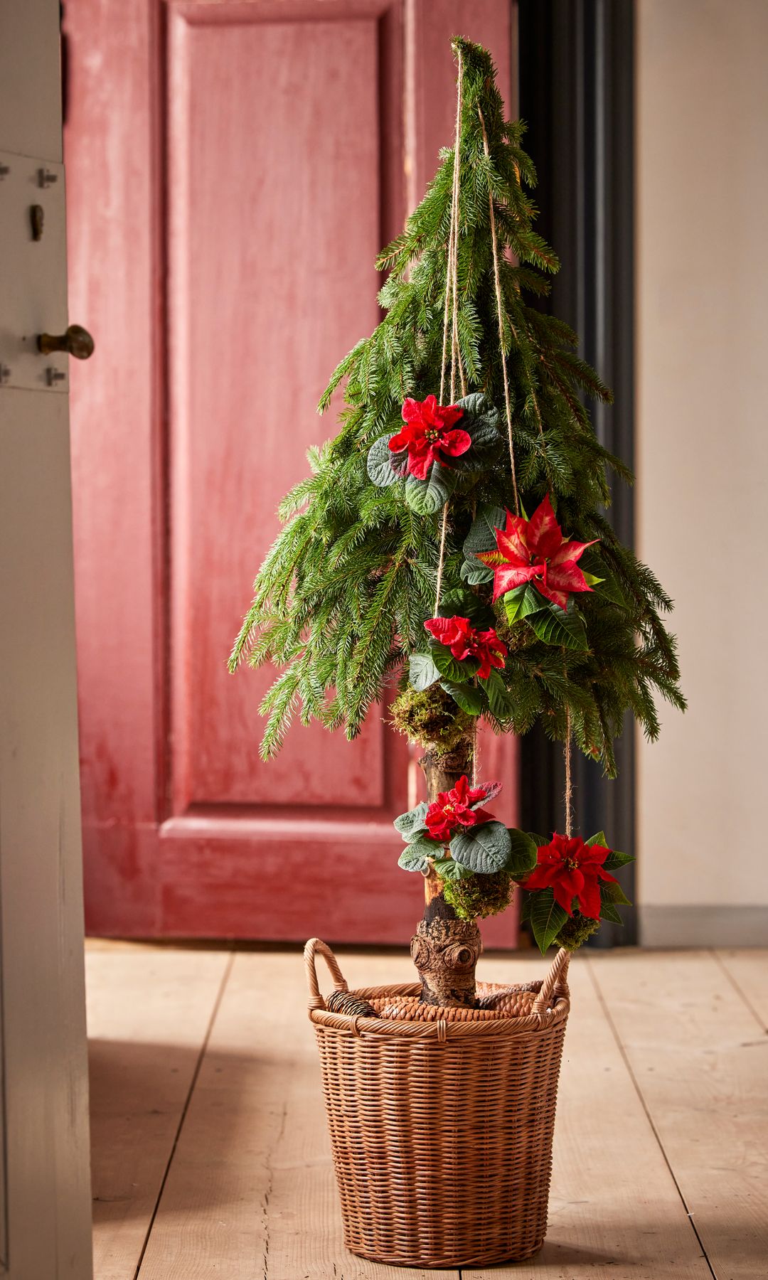 Árbol de Navidad con maceta de mimbre y poinsettias de adorno