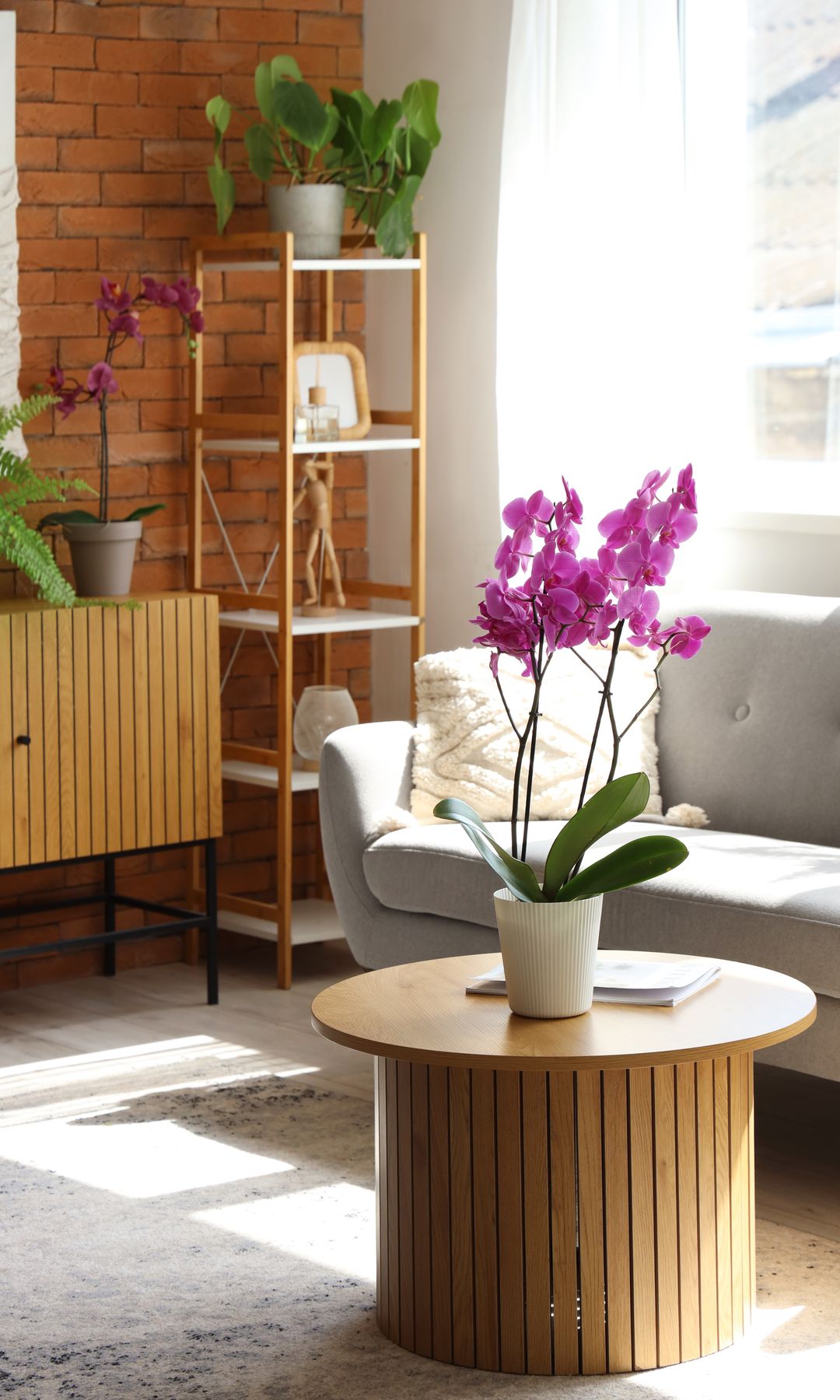 Interior de sala de estar con sofá y flores de orquídea.