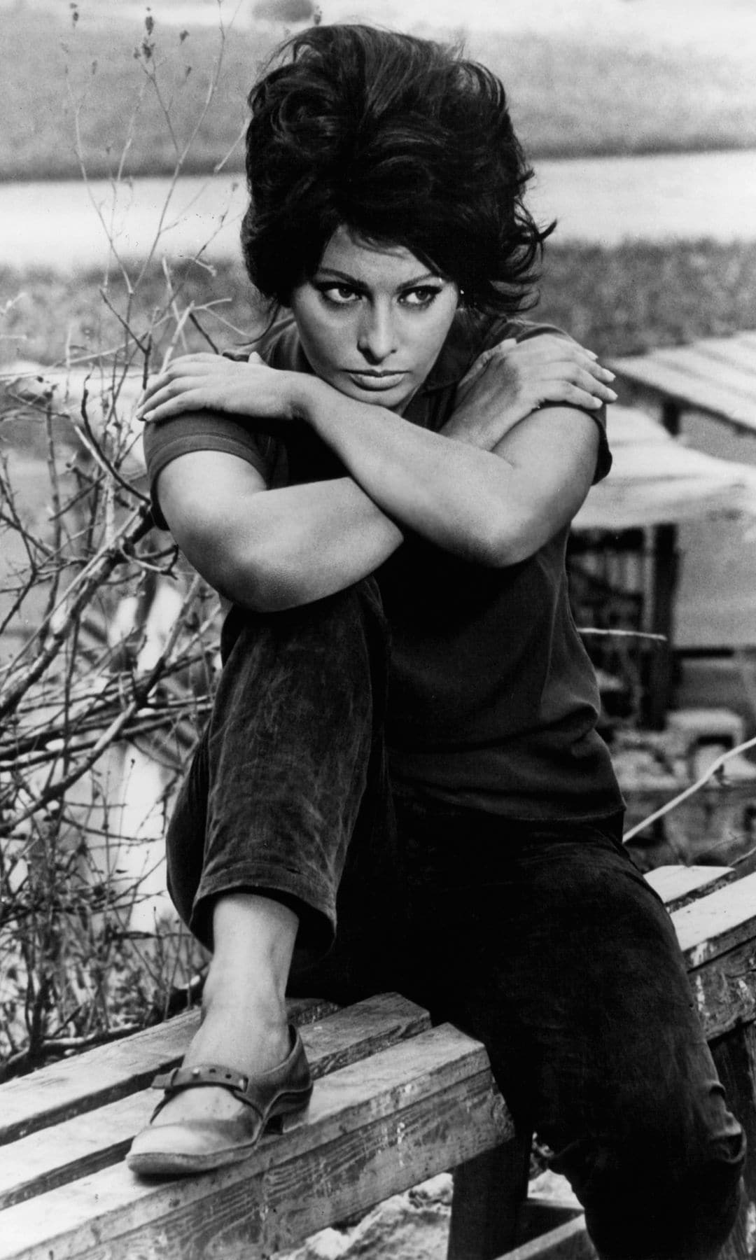 Sofia Loren Italian actress 90th birthday