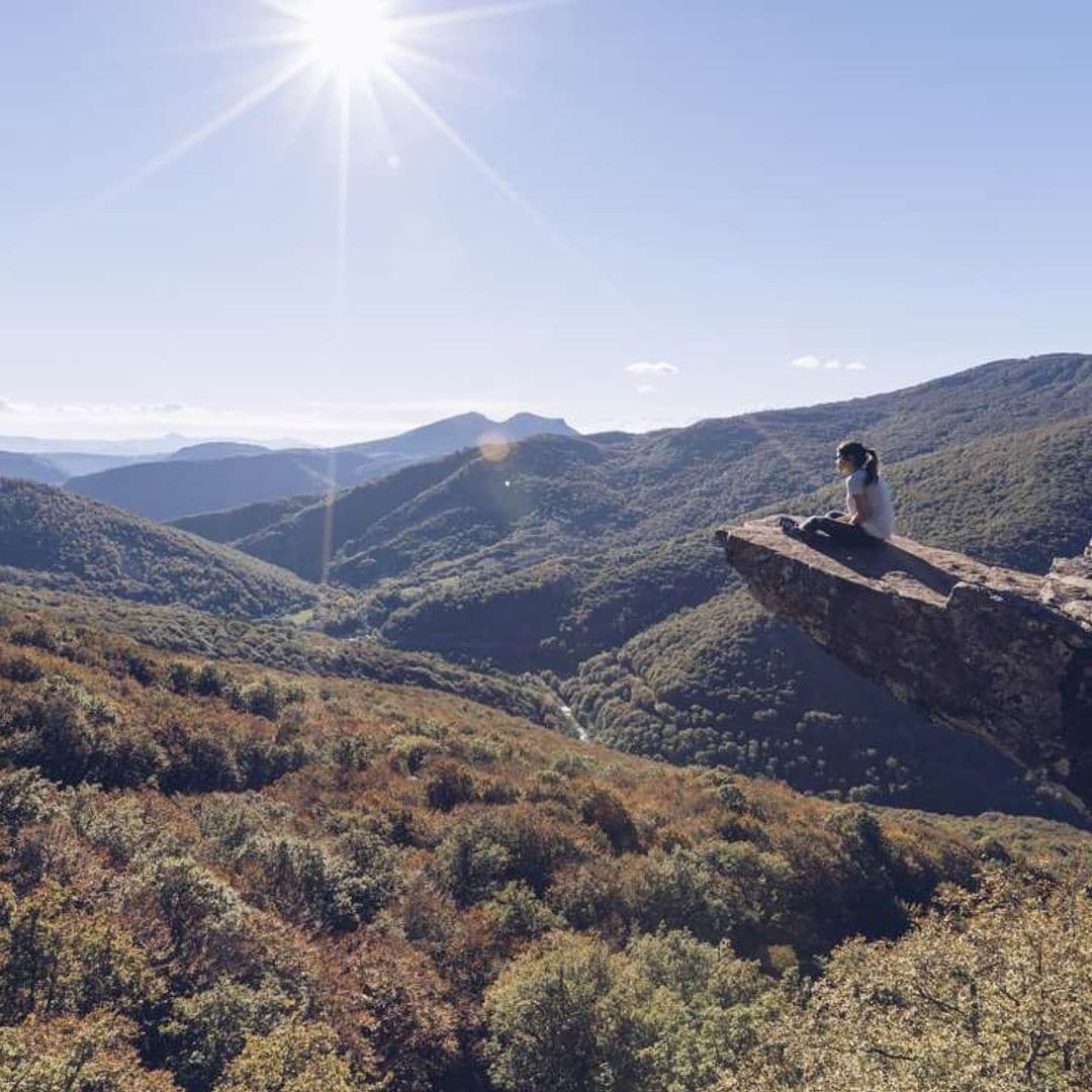 panoramica selva irati