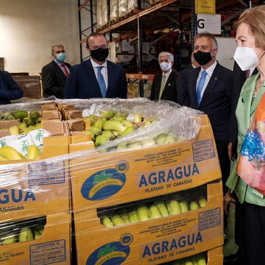 Doña Sofía sigue con su recorrido solidario por España para conocer los estragos del COVID