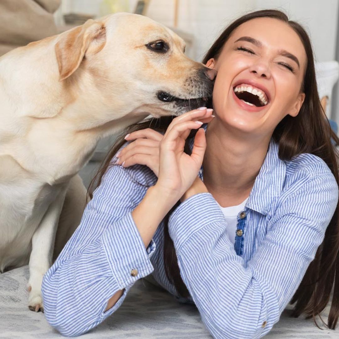 Esto es todo lo que tu perro puede oler (y tú no)