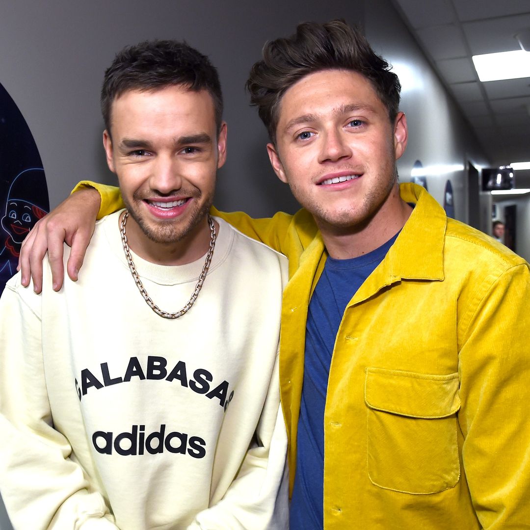 Liam Payne y Niall Horan en 2017