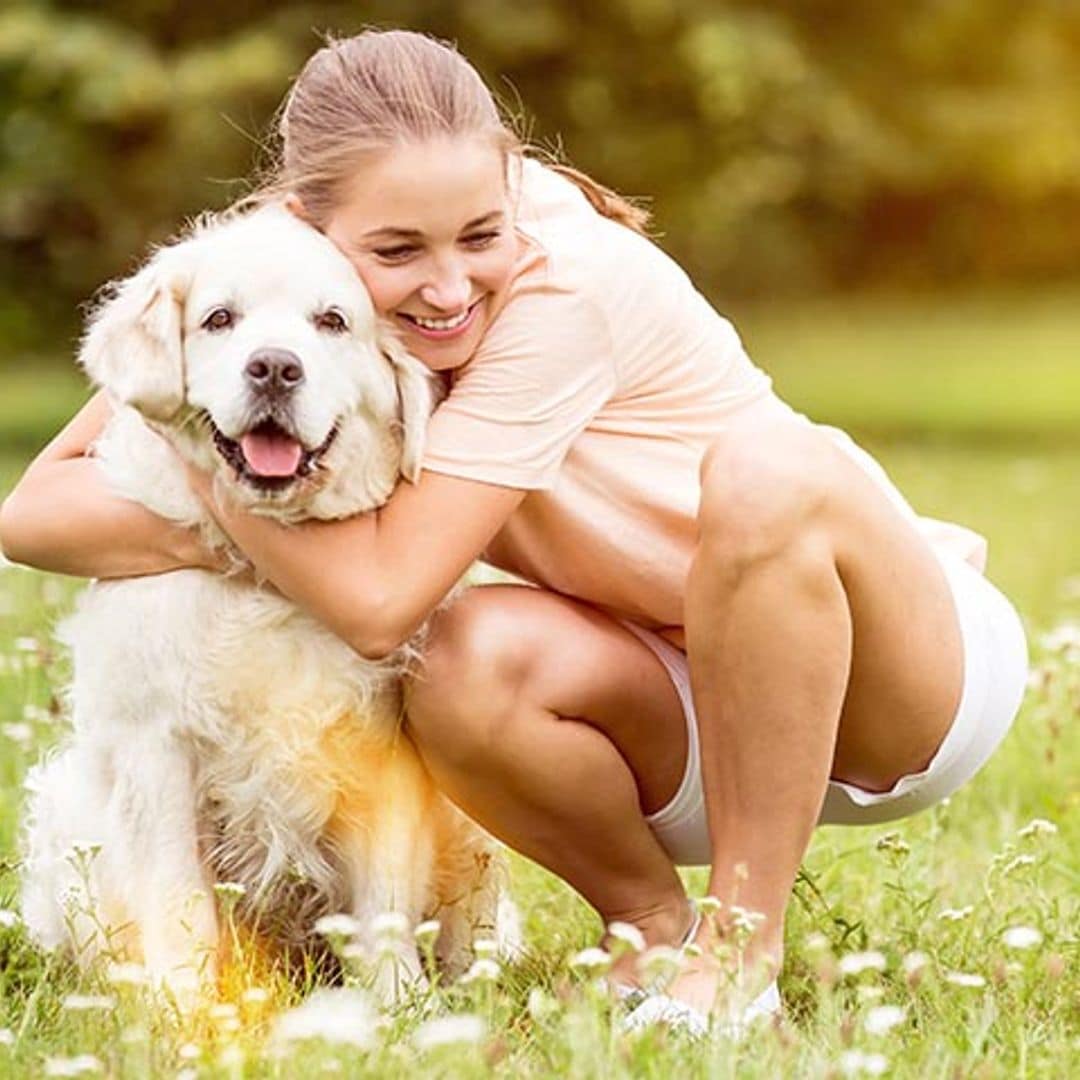 Antes de acariciar a un perro hay cosas que debes saber