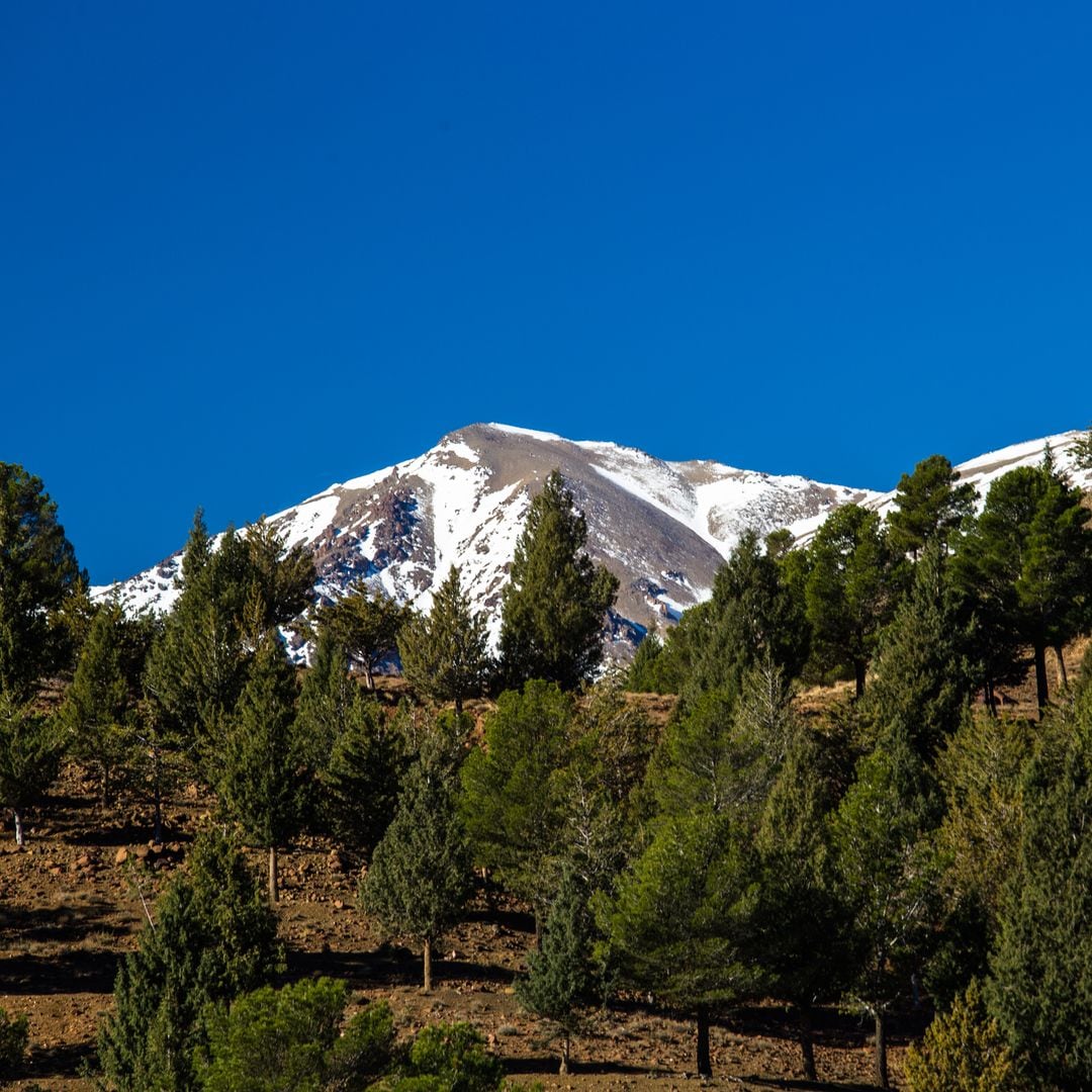 Ifrane, desconexión entre montañas en la pequeña Suiza marroquí