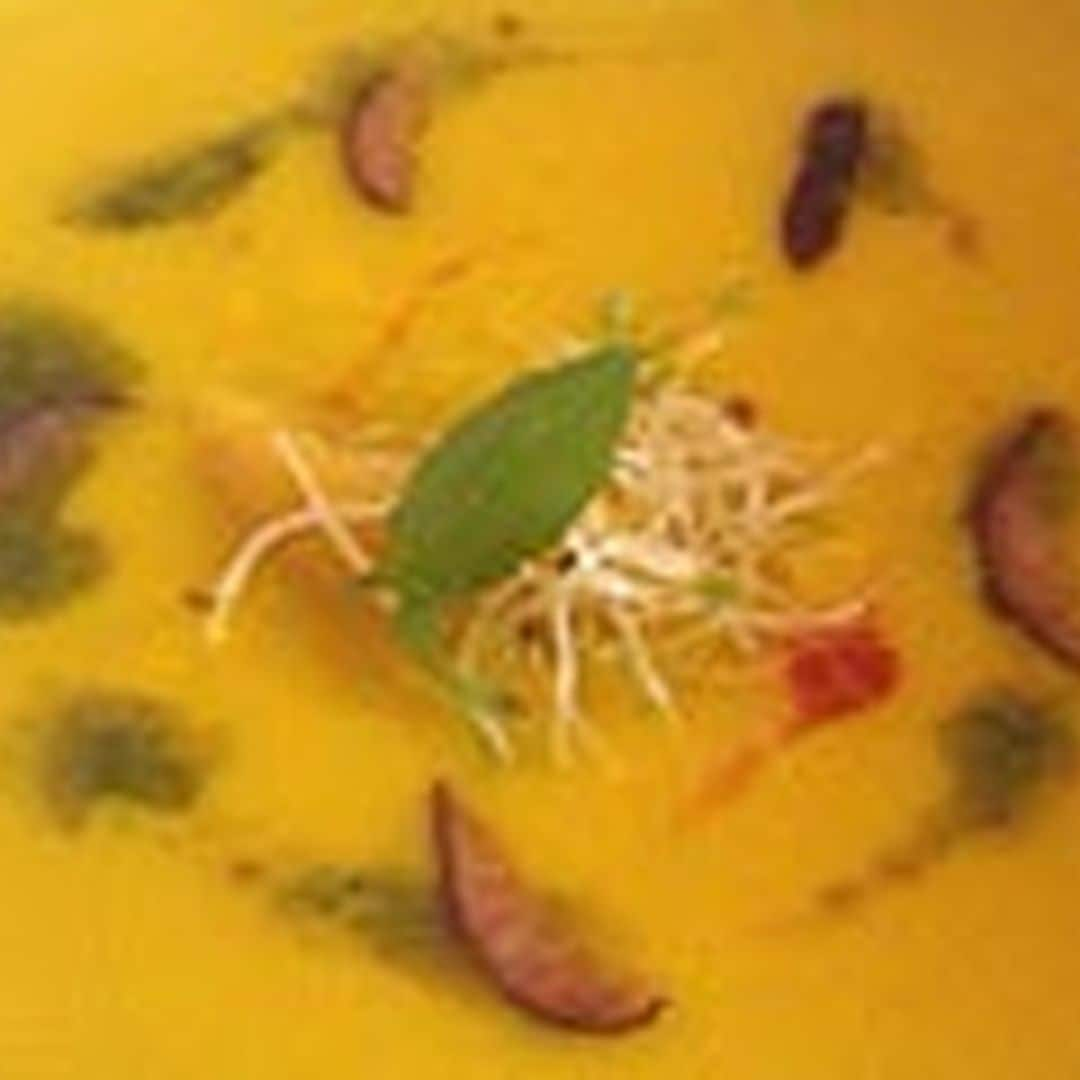 Gazpacho de maíz con cerezas, brotes de alfalfa y aceite de albahaca