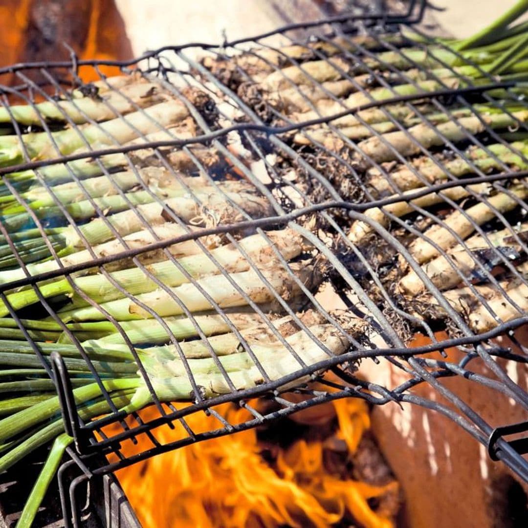 Es tiempo de calçots: las mejores calçotadas y cómo hacerlos en casa