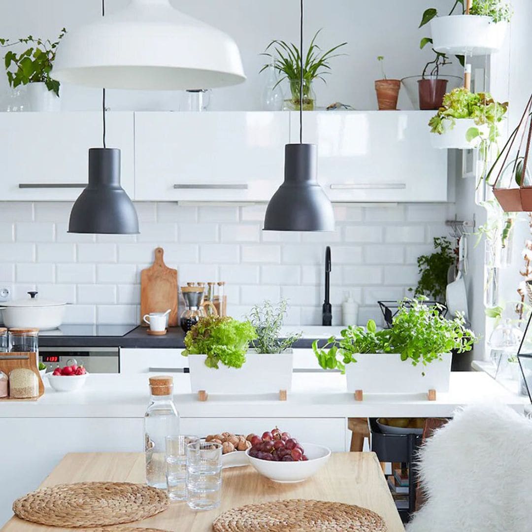 plantas cocina