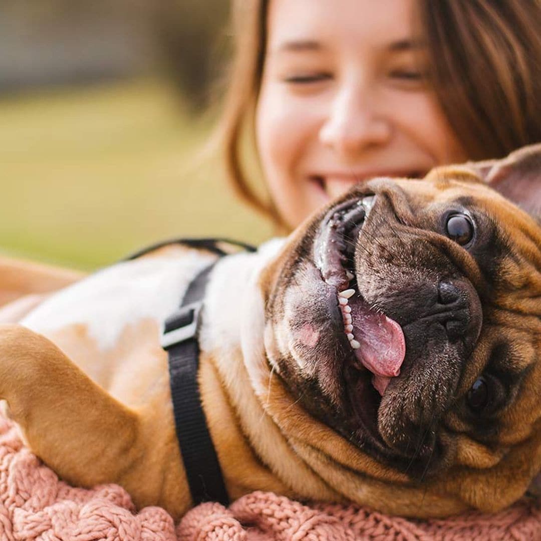 ¿Tienes un 'perrhijo'? Una nueva forma de relacionarnos con nuestras mascotas