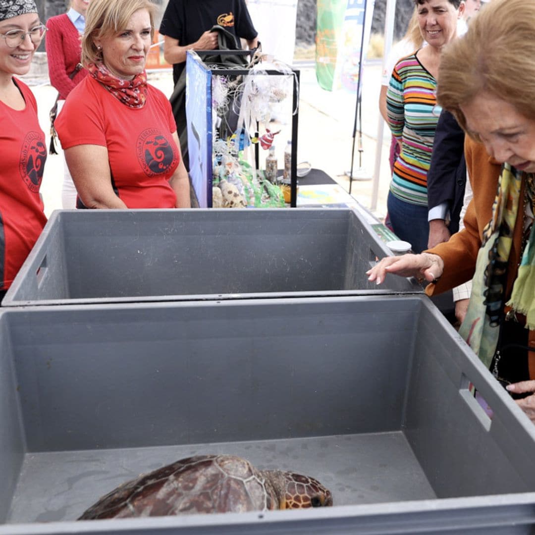 Las emotivas imágenes de la reina Sofía en Tenerife soltando dos tortugas, ¡bautizadas por ella misma!