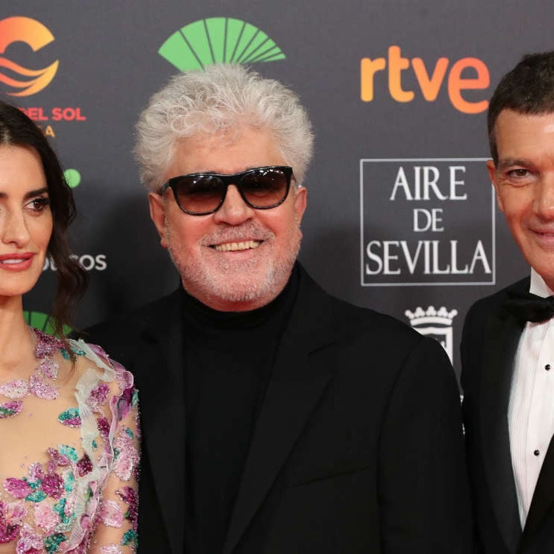 Penélope Cruz y Antonio Banderas protagonizarán una película ¡y no es de Almodovar!