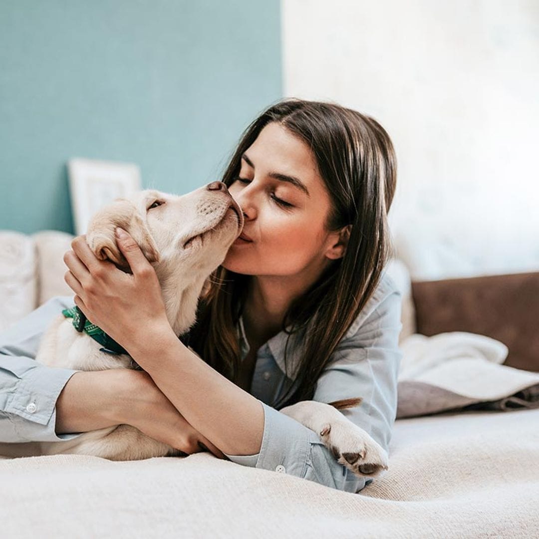 Razas de perros que siempre parecerán cachorros