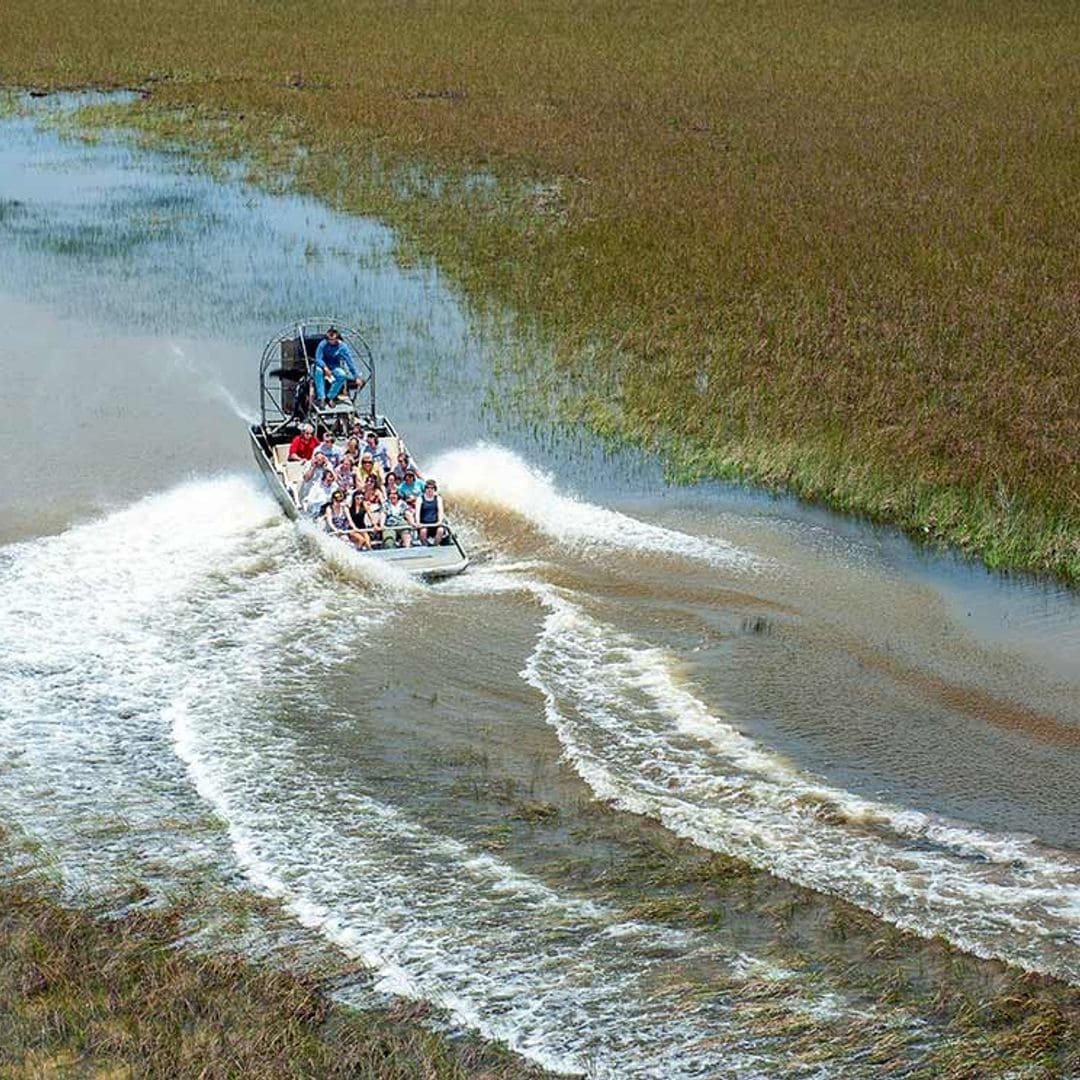 Entre lagartos gigantes en el Parque Nacional de Everglades