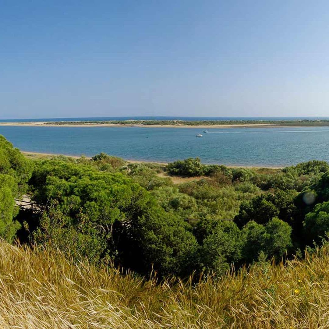 Flecha del Rompido, kilómetros de playas naturales en Huelva