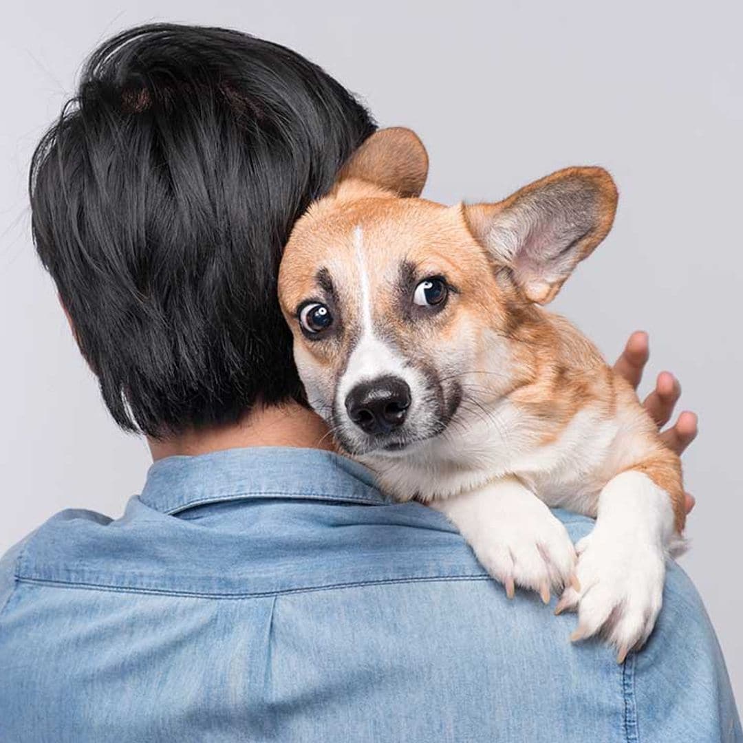 ¿A qué le tiene miedo tu perro?