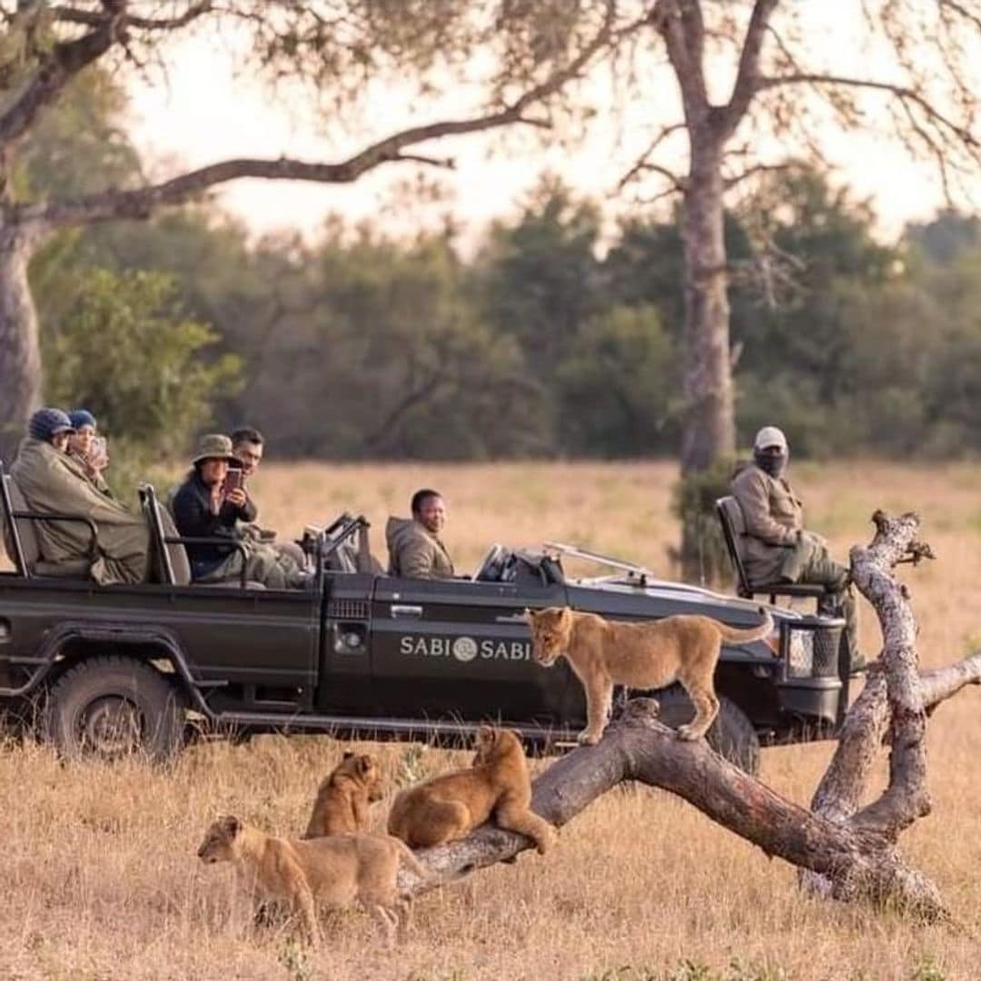 Safari en la Reserva Sabi Sabi, Parque Nacional Kruger, Sudáfrica