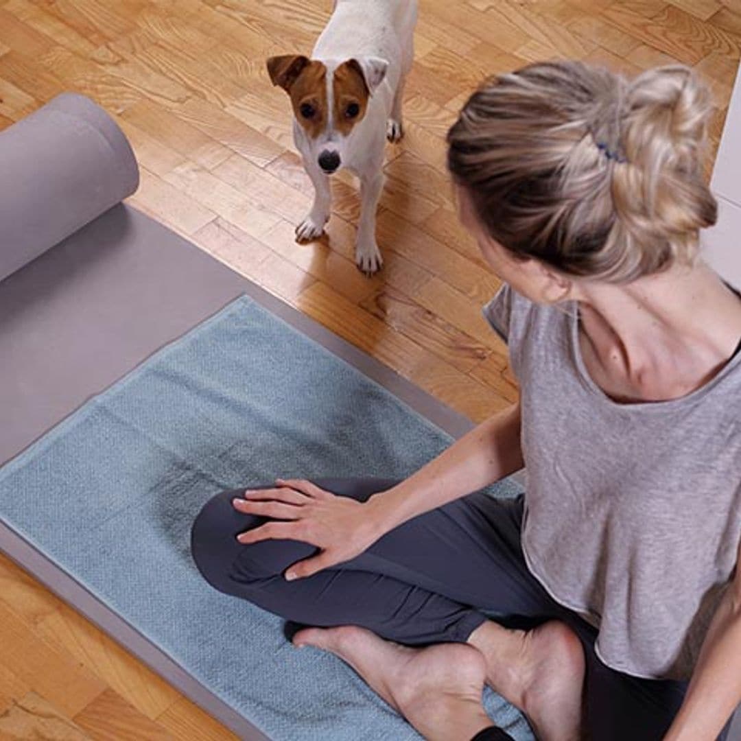 'Doga': practica yoga con tu perro