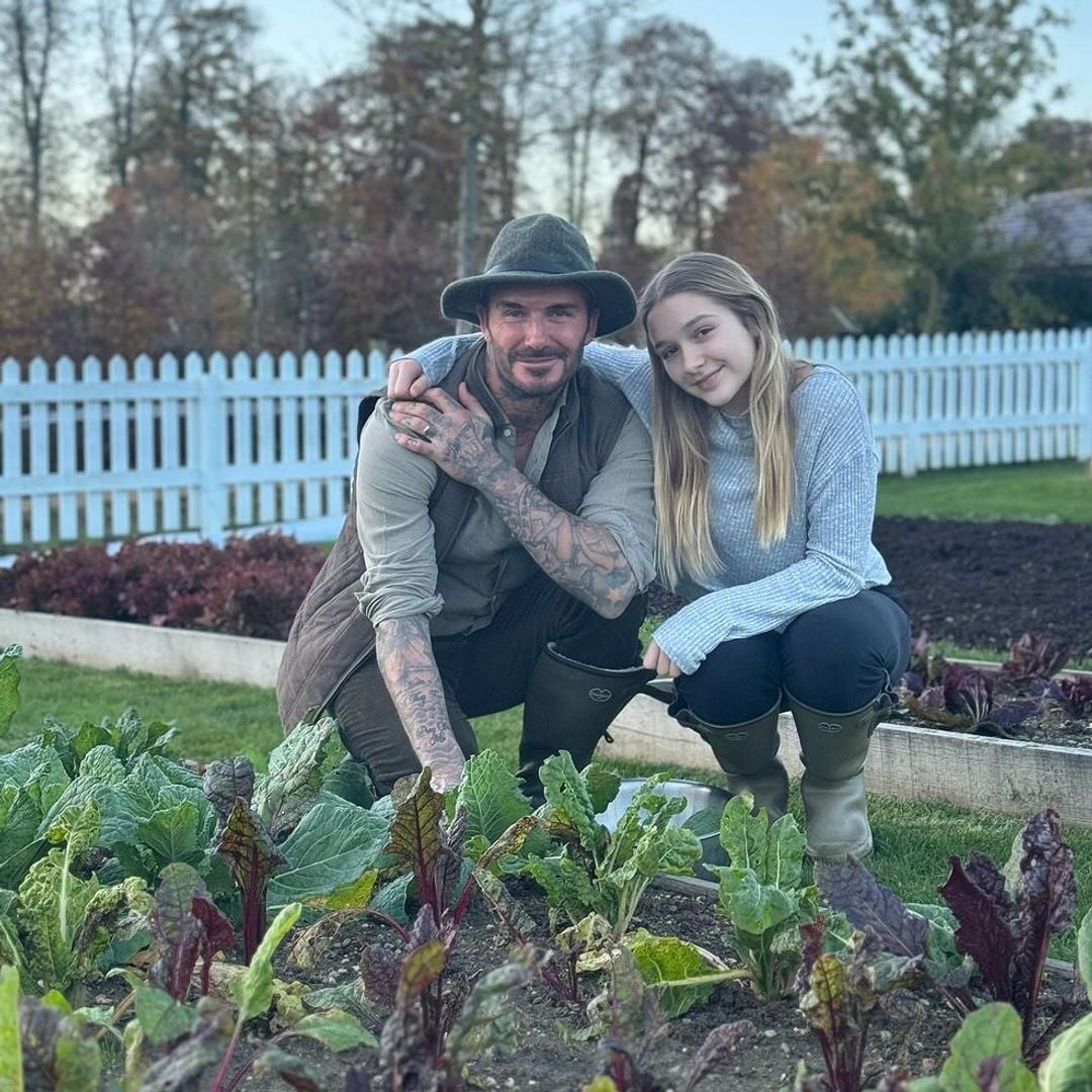 David Beckham, como nunca le habíamos visto con sus gallinas: así ha reaccionado Victoria