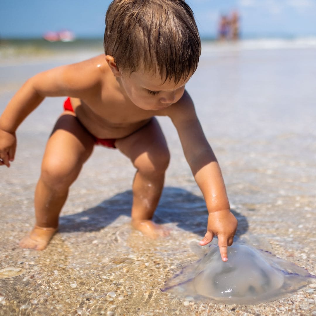 Cómo debes actuar si a tu hijo le pica una medusa