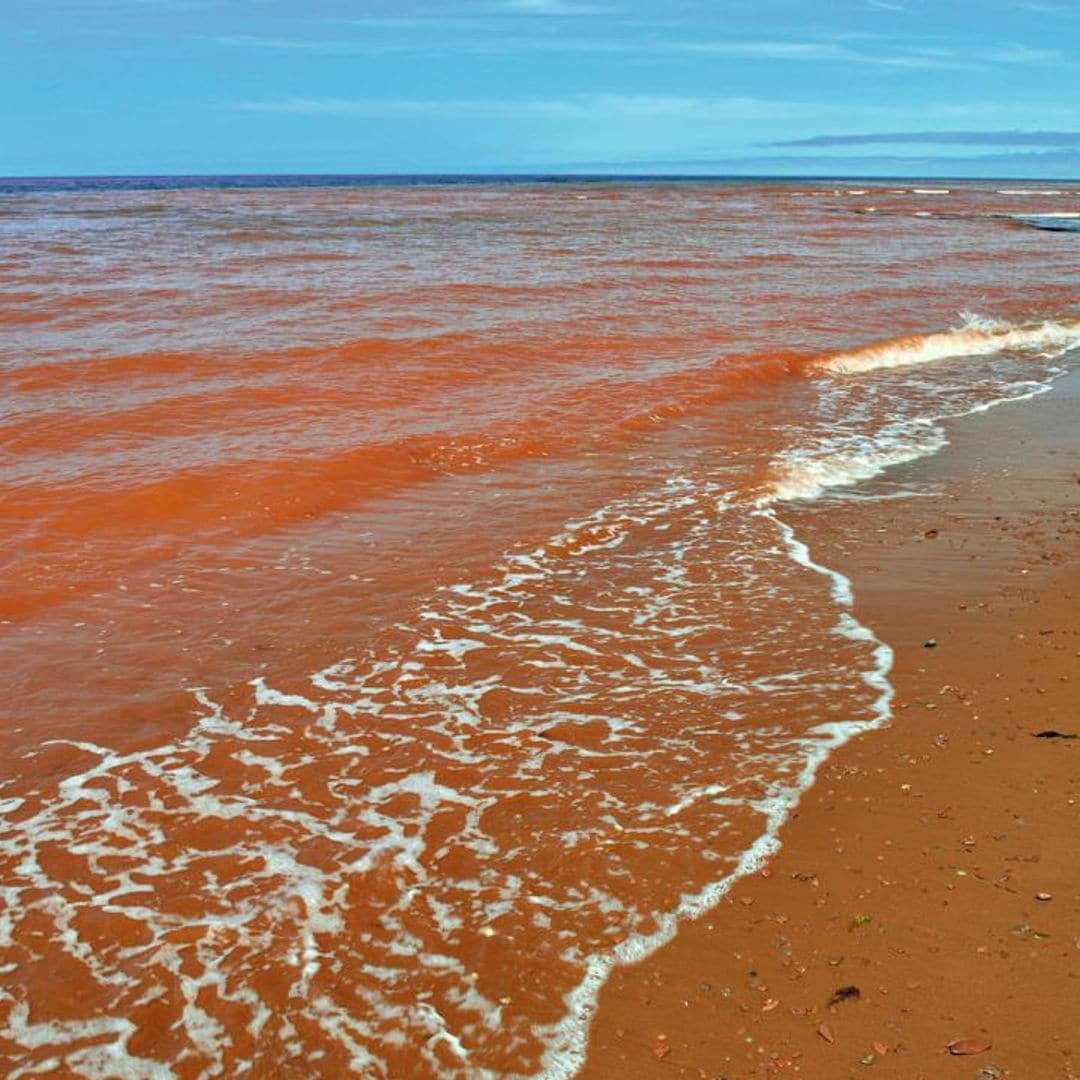 Con arena rosa, verde, de cristales... así son las playas más coloridas y singulares del planeta