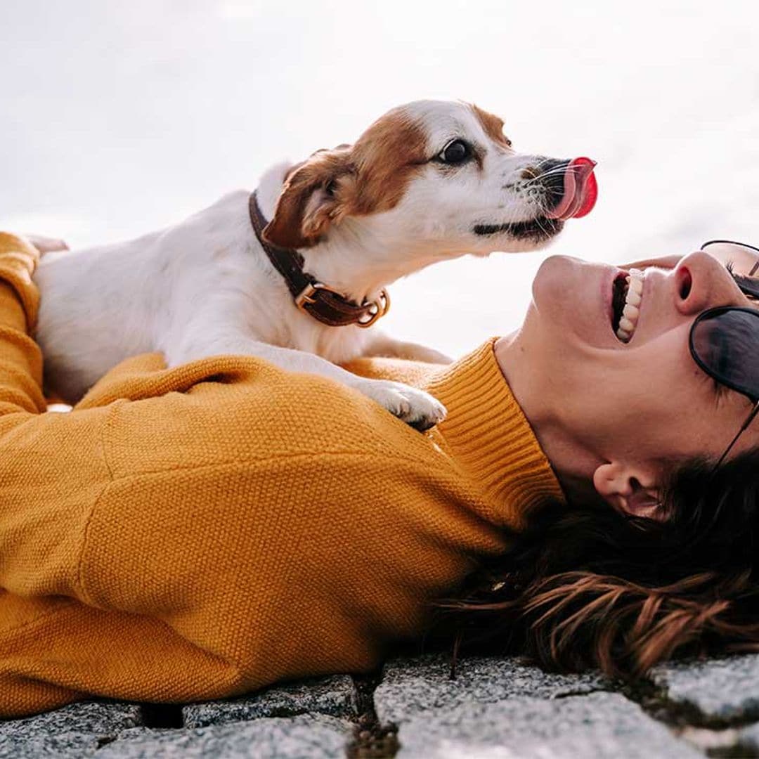 Las personas con perro tienen mejor humor y más salud mental, según la ciencia