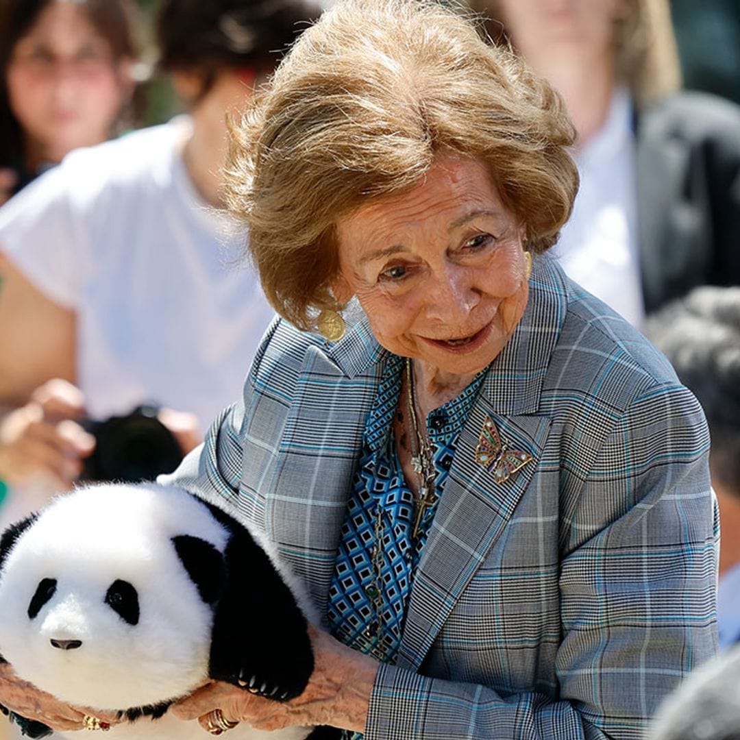 Las simpáticas imágenes de la reina Sofía dando la bienvenida a dos osos panda en el Zoo de Madrid