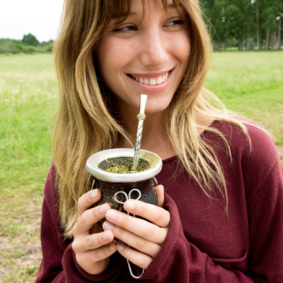 Yerba mate: los beneficios para la salud de esta planta medicinal