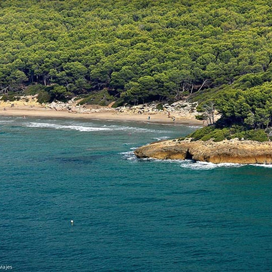 Por la Costa Daurada más natural, en busca de playas, bosques, humedales...