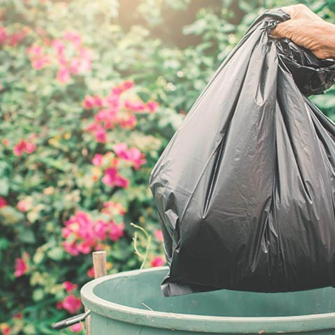 Estas son las alternativas a las bolsas de basura