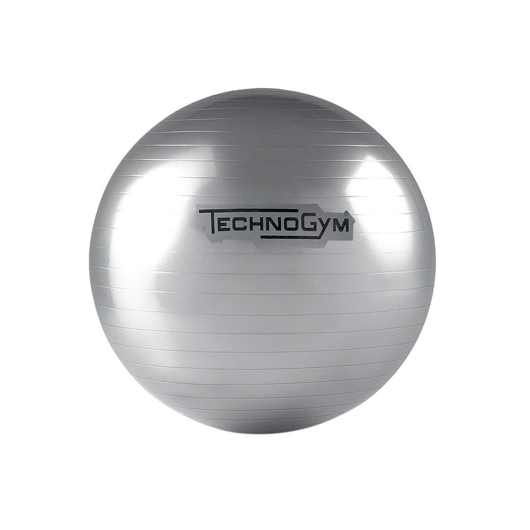 Fitball (115 €), de Technogym.