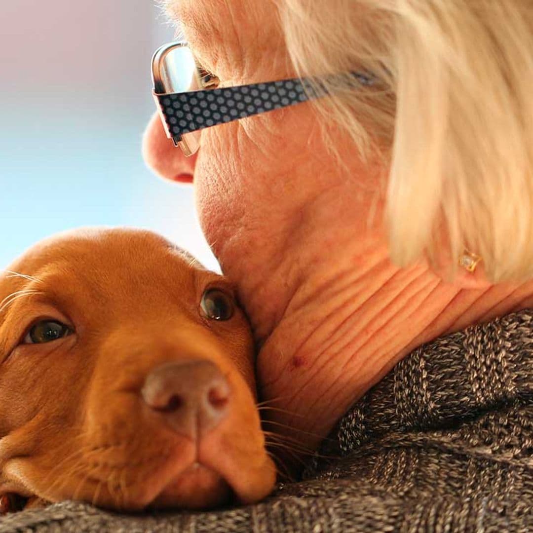 Cómo una mascota puede mejorar la vida de las personas mayores