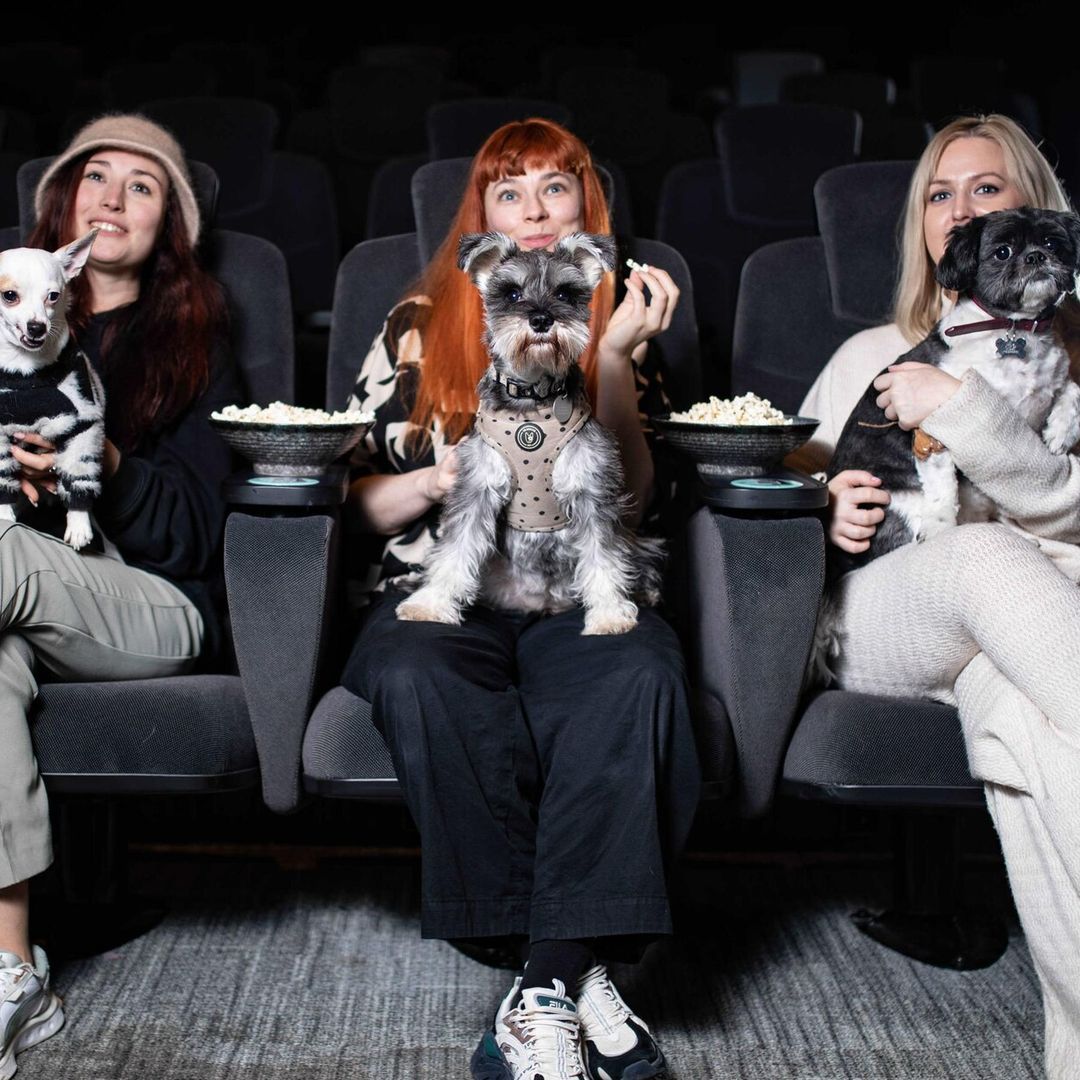 Así se adaptan las salas de cine para recibir a sus clientes más especiales: ¡los perros!